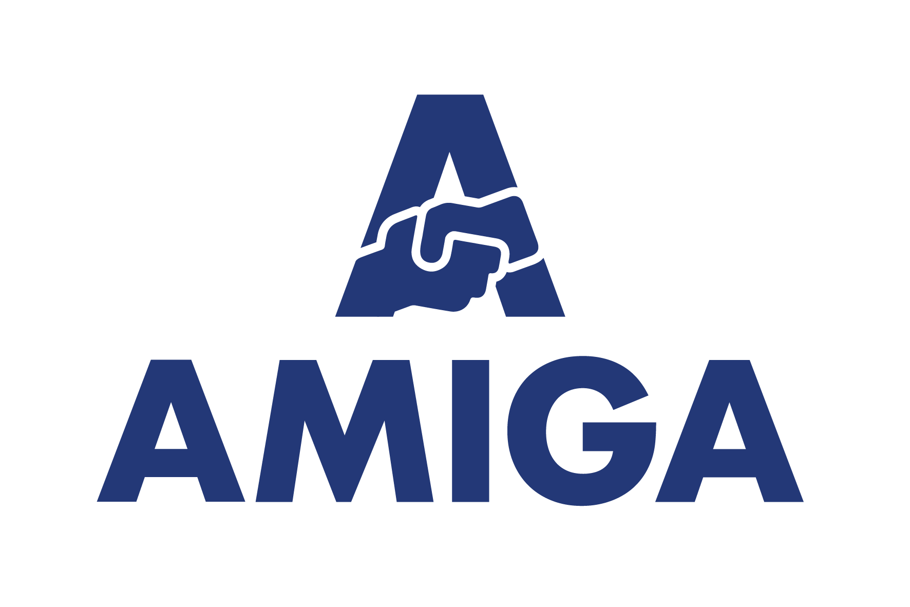 Amiga HR Ltd