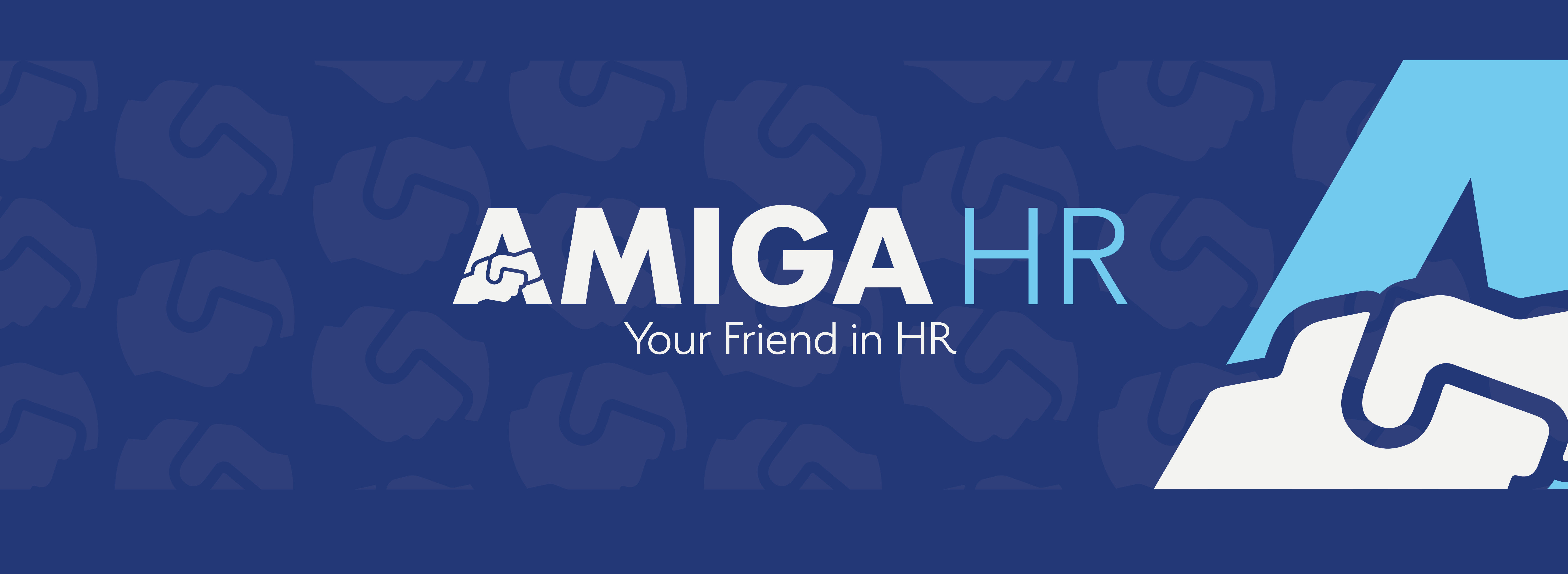 Amiga HR Ltd cover